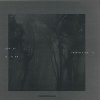 Jonas Kopp - Triptology