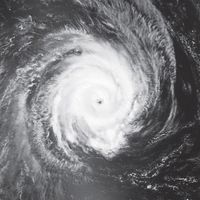 Overall Severity - Helene