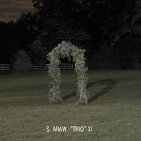 S. Araw 'Trio' XI - Gazebo Effect