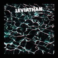 Flavien Berger - L&eacute;viathan