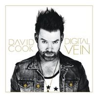 David Cook - Digital Vein