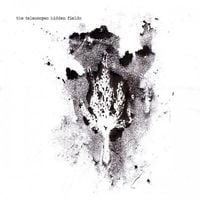 The Telescopes - Hidden Fields