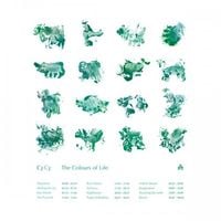 CFCF - The Colours of Life