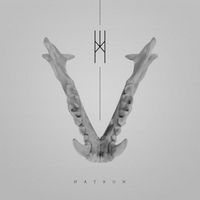 C R O W N - Natron