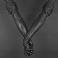 Made of Oak - Penumbra