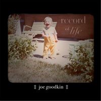 Joe Goodkin - Record of Life