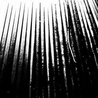 The Crinn - Shadowbreather