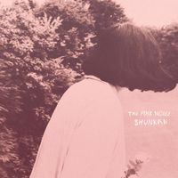 Shunkan - The Pink Noise