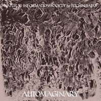 Bitchin Bajas - Automaginary