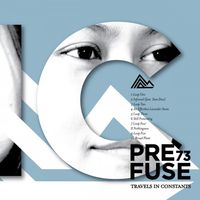 Prefuse 73 - Travels In Constants, Vol 25