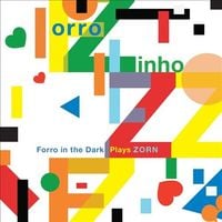 John Zorn / Forro In The Dark - Forro Zinho: Forro in the Dark Plays Zorn
