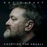Guy Garvey - Courting The Squall