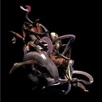 Various Artists - Mykki Blanco Presents C-ORE
