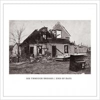 See Through Dresses - End Of Days