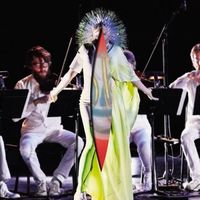Bj&ouml;rk - Vulnicura Strings