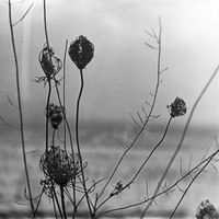 Recondite - Placid