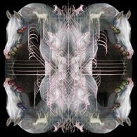 Eartheater - RIP Chrysalis