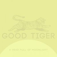 Good Tiger - A Head Full of Moonlight