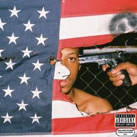 Wara from the NBHD - If Guns Could Speak PSA