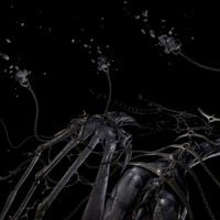 Lotic - Agitations