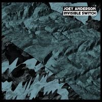 Joey Anderson - Invisible Switch