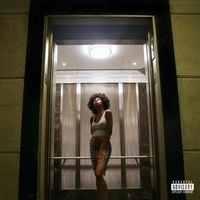 Junglepussy - Pregnant with Success