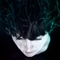 Hanne Kolst&oslash; - While We Still Have Light