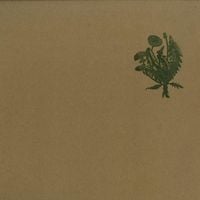 Leif - Taraxacum