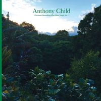 Anthony Child - Electronic Recordings from Maui Jungle, Vol. 1