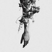 mouse on the keys - The Flowers of Romance