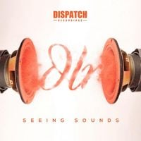 DLR - Seeing Sounds