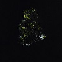 Byron Westbrook - Precipice