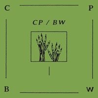 Corporate Park & Beau Wanzer - Untitled