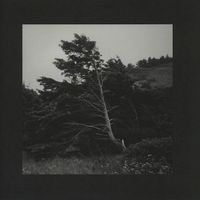 Alvin Aronson - High Rise