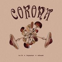 Conjunto Corona - Lo-Fi Hipster Sheat