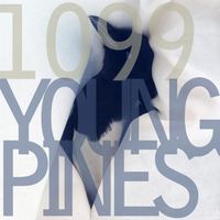 1099 - Young Pines
