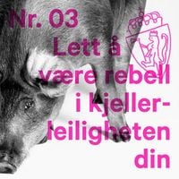 Karpe - Lett &Aring; V&aelig;re Rebell I Kjellerleiligheten Din