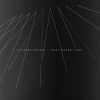 Alabama Shakes - Don't Wanna Fight