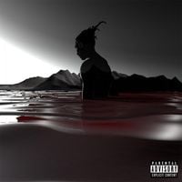 Robb Bank$ - Year Of The Savage