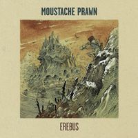 Moustache Prawn - Erebus