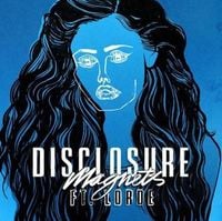 Disclosure - Magnets
