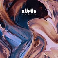 R&Uuml;F&Uuml;S DU SOL - Bloom