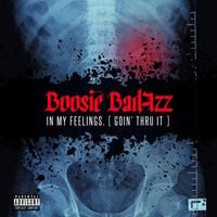 Boosie Badazz - In My Feelings (Goin' Thru It)