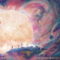 PAUW - Macrocosm Microcosm