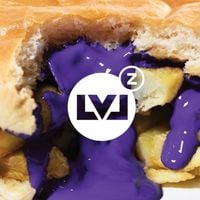 LEVELZ - LVL 11