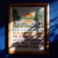 Blithe Field - Face Always Toward the Sun