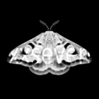 Martyn Hare - Emetic XXVII