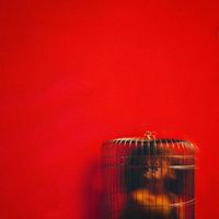 Eryn Allen Kane - Aviary: Act II