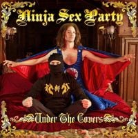 Ninja Sex Party - Under The Covers