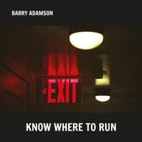Barry Adamson - Know Where To Run